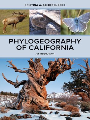cover image of Phylogeography of California